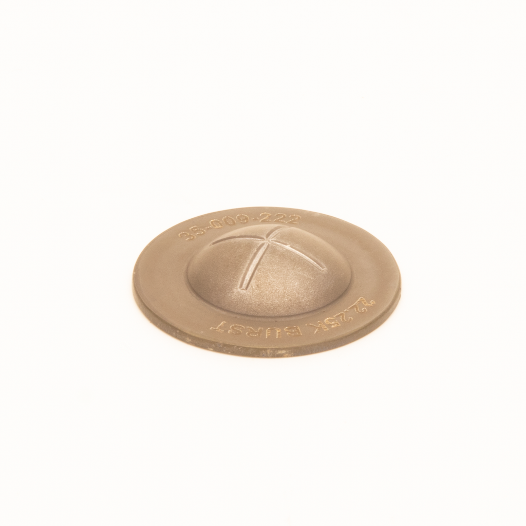 RUPTURE DISCS – Advanced Pressure Systems
